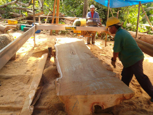 Aserradero Lucas Mill - 2