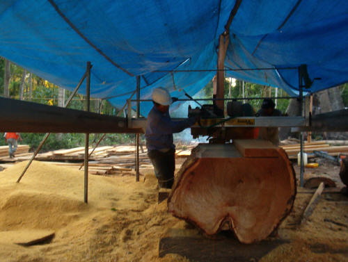 Aserradero Lucas Mill - 3