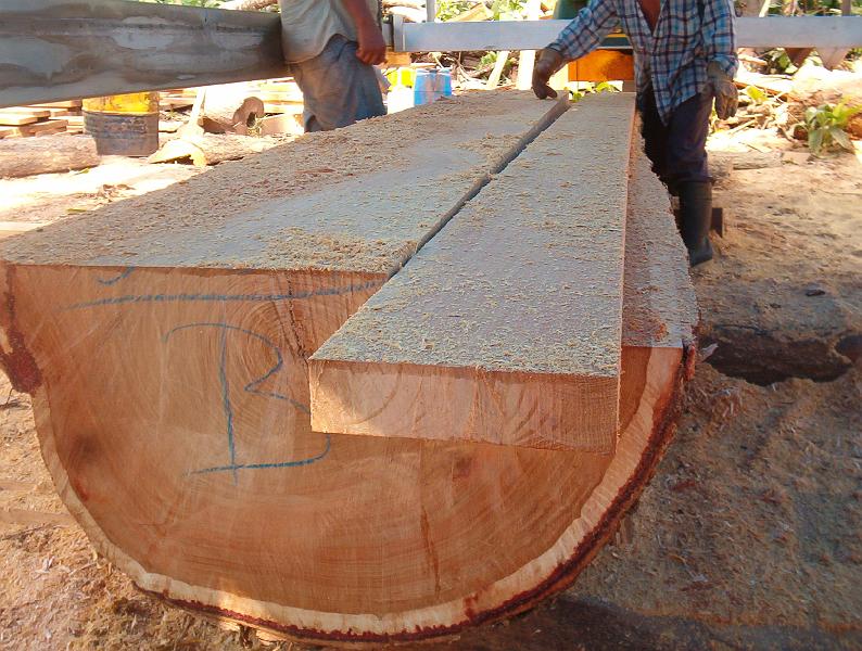 Aserradero Lucas Mill - 4