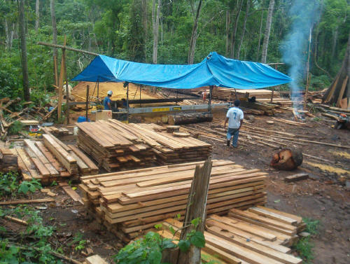 Aserradero Lucas Mill - 7